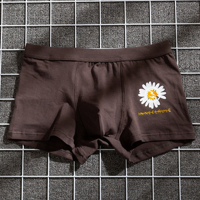 Donje rublje Muške gaće Pamučne muške gaćice Boksačice s printom na koru Muške modne bokserice Breathabl Boxer za muškarce Poklon