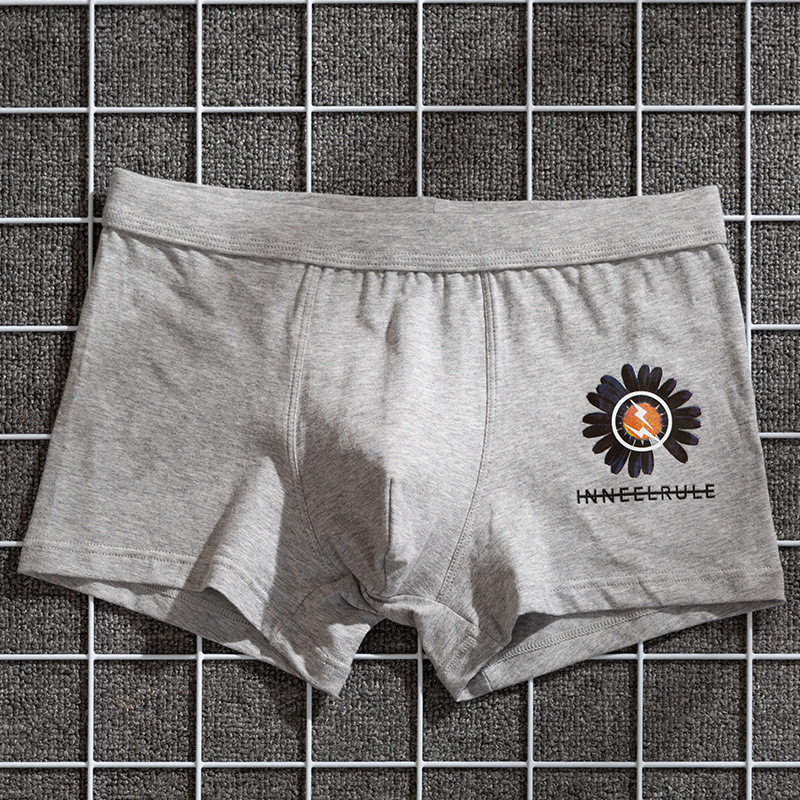 Donje rublje Muške gaće Pamučne muške gaćice Boksačice s printom na koru Muške modne bokserice Breathabl Boxer za muškarce Poklon