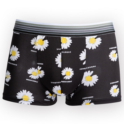 Σέξι πάγος μεταξωτά εσώρουχα ανδρικά Υπέροχη εκτύπωση κινουμένων σχεδίων μποξερ σορτς Homme Ανδρικά άνετα σώβρακα Ανδρικά μποξερ αναπνεύσιμα εσώρουχα