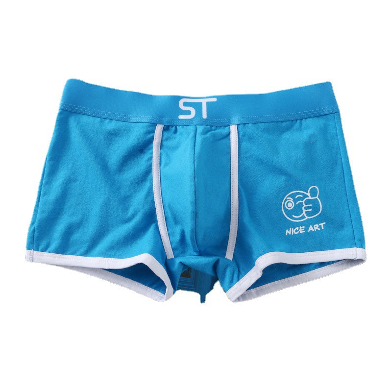 [Bloom the love] Ολοκαίνουργιο NICE ART Βαμβακερά εσώρουχα Ανδρικά Boxer Homme Ανδρικά εσώρουχα μπόξερ Man Cuecas Masculina Άνετα M-XXL