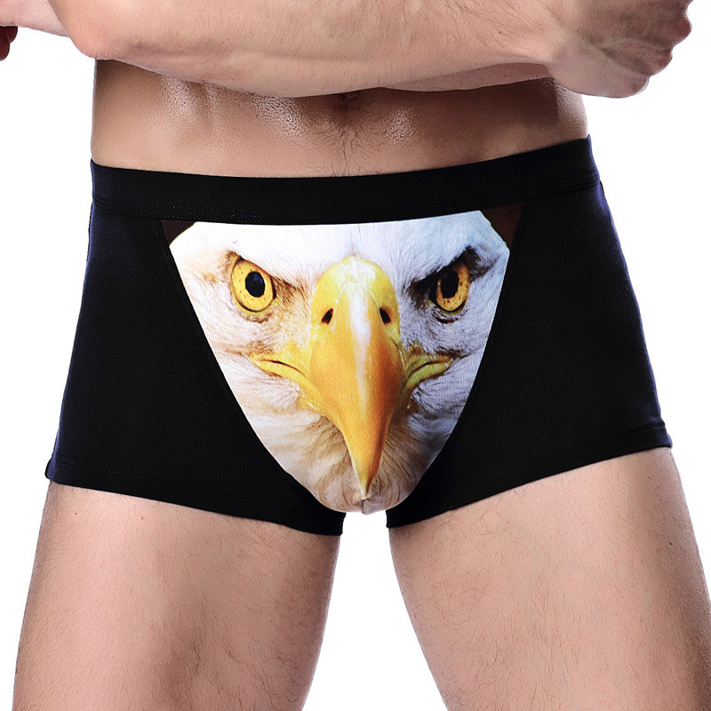 ANDERSON TALISCA Επώνυμη τυπωμένη μάρκα Wolf&Eagle New Mens Boxers Ανδρικά εσώρουχα Boxer Ropa Interio Man Πέος Cueca Masculina Μέγεθος L-4XL