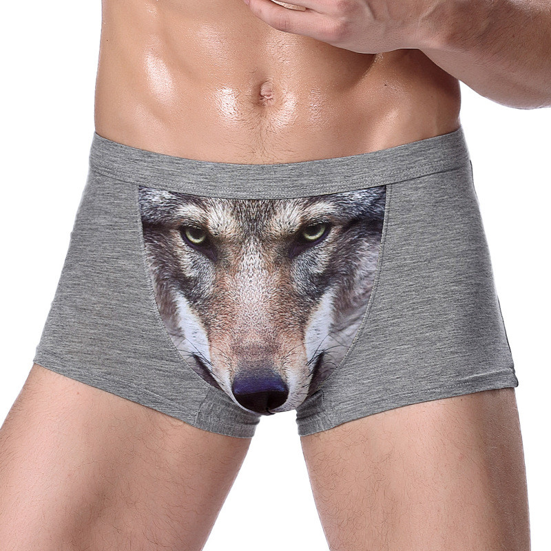 ANDERSON TALISCA Επώνυμη τυπωμένη μάρκα Wolf&Eagle New Mens Boxers Ανδρικά εσώρουχα Boxer Ropa Interio Man Πέος Cueca Masculina Μέγεθος L-4XL