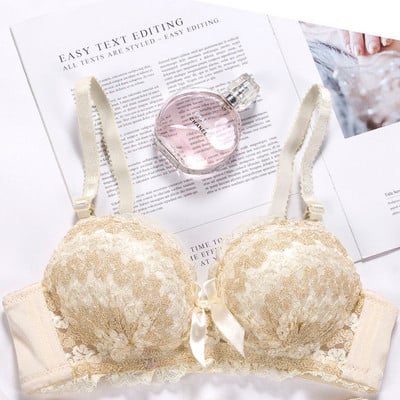 Grudnjak za mlade djevojke Žensko seksi donje rublje Ženski grudnjak veće veličine Push Up Bralette Crop Top Veliki ženski grudnjak Bežični čipkasti tube top