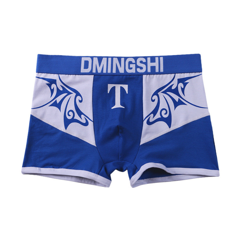 ANDERSON TALISCA Brand Wing Lenjerie nouă pentru bărbați Boxer din bumbac Boxeri pentru bărbați Hombre Bărbați Penis Cuecas Masculina Boxershorts Homme M-3XL