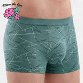 [Bloom the love] Brand Line Lenjerie de corp din bumbac Bărbați Boxer Homme Boxeri pentru bărbați Chiloți Bărbați Cuecas Masculina Calzoncillos Hombre L-3XL