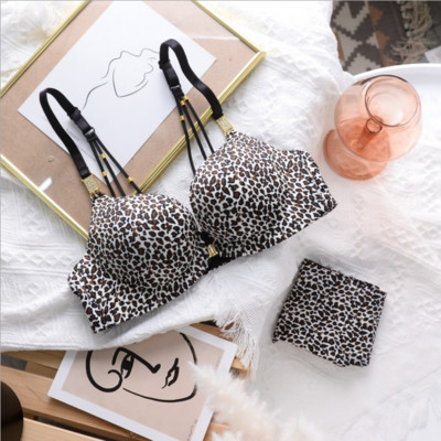 Σέξι εσώρουχα Λεοπάρ τύπωμα Όμορφο σετ εσωρούχων πίσω Γυναικείες ρυθμιζόμενες λεπτές διατομές Χωρίς ατσάλινο δαχτυλίδι Μικρό σουτιέν χωρίς ραφή