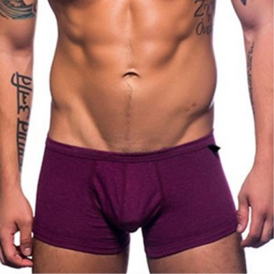 2018 Uus puuvillane seksikas meeste aluspesu bokserid mood lühikesed püksid kott Pehmed aluspüksid mugavad meeste bokserid kõrge elastsusega vabaaja