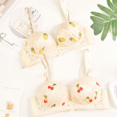 Čipkasti seksi grudnjak Ženski prozračni bešavni grudnjak Donje rublje Push Up Bralette Bežični grudnjak Novo ljetno studentsko donje rublje