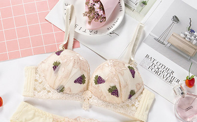 Čipkasti seksi grudnjak Ženski prozračni bešavni grudnjak Donje rublje Push Up Bralette Bežični grudnjak Novo ljetno studentsko donje rublje