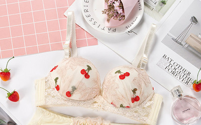 Čipkasti seksi grudnjak Ženski prozračni bešavni grudnjak Donje rublje Push Up Bralette Bežični grudnjak Novo ljetno studentsko donje rublje