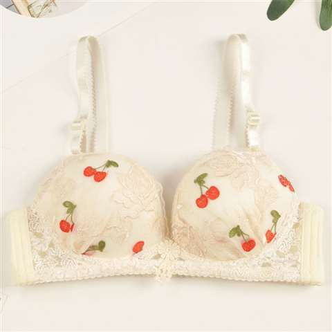 Čipkasti seksi grudnjak Ženski prozračni bešavni grudnjak Donje rublje Push Up Bralette Bežični grudnjak Novo ljetno studentsko donje rublje