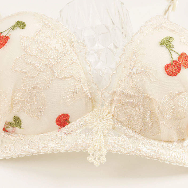 Čipkasti seksi grudnjak Ženski prozračni bešavni grudnjak Donje rublje Push Up Bralette Bežični grudnjak Novo ljetno studentsko donje rublje