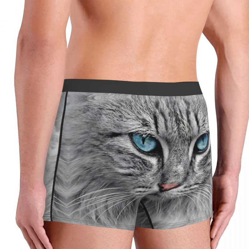 Siberi Metskassi Aluspüksid Homme Aluspüksid Meeste Aluspüksid Print lühikesed püksid Bokserpüksid