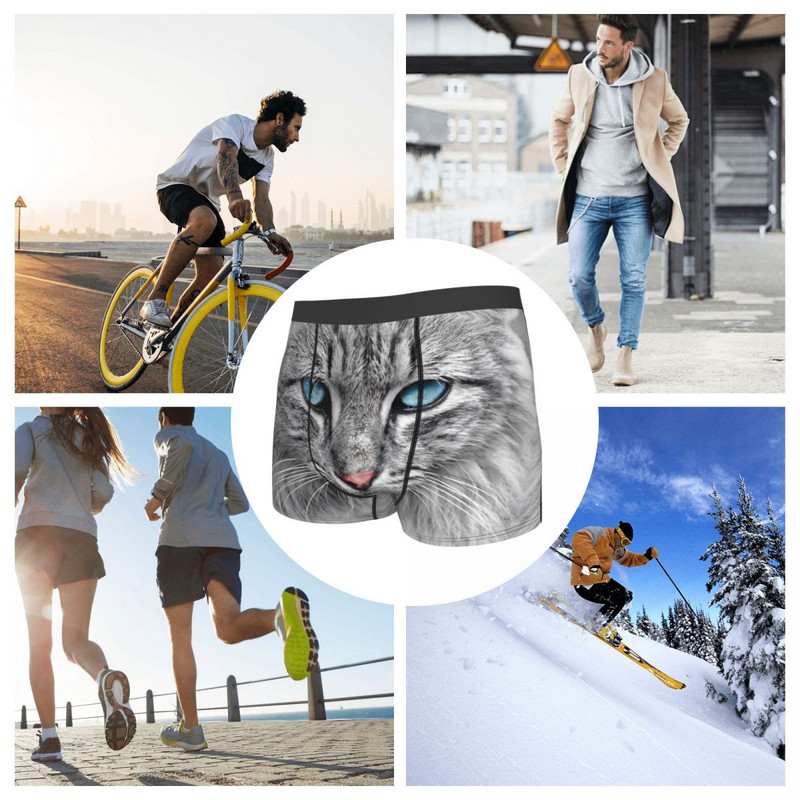 Siberi Metskassi Aluspüksid Homme Aluspüksid Meeste Aluspüksid Print lühikesed püksid Bokserpüksid