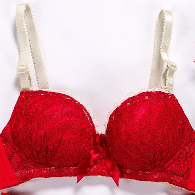 Ženski bešavni grudnjak Seksi bez žica Novo čipkasto Push Up donje rublje Studentice Prozračna tanka košarica 5 boja Grudnjaci Modni mekani ljepoti