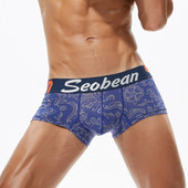 SEOBEAN NEW COMING ΑΝΔΡΙΚΟ ΝΕΟ ΧΡΩΜΟ ΣΧΕΔΙΟ ΒΑΜΒΑΚΕΡΟ ΕΣΩΡΟΥΧΟ ΧΑΜΗΛΟ ΚΑΘΗΛΩΜΕΝΟ ΑΝΔΡΙΚΟ