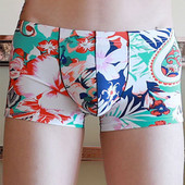 Ανδρικά σλιπ μπόξερ με εμπριμέ Ανδρικά σορτς μπόξερ με κυρτό σε σχήμα U Ανδρικό εσώρουχο Λεοπάρ Αντρικό σέξι εσώρουχο φλοράλ μπόξερ