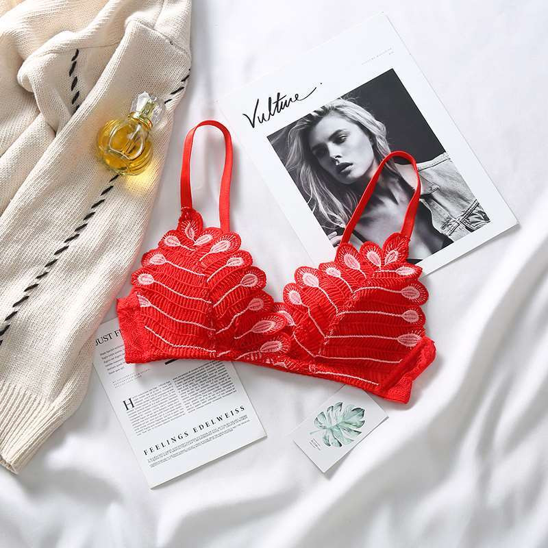 Modni grudnjaci za djevojke Novi dolasci Seksi ženski grudnjak Čipkano izdubljeno donje rublje Žensko donje rublje s vezom velike veličine AB košarice Crveno Intimno