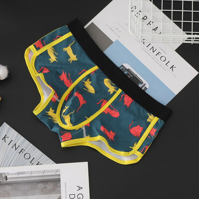 Sügis- ja Talvine uus Cross Border noorte meeste puuvillane bokseri aluspesu hingav puuvillane keskmise vöökohaga kahekihiline mood Aro püksid