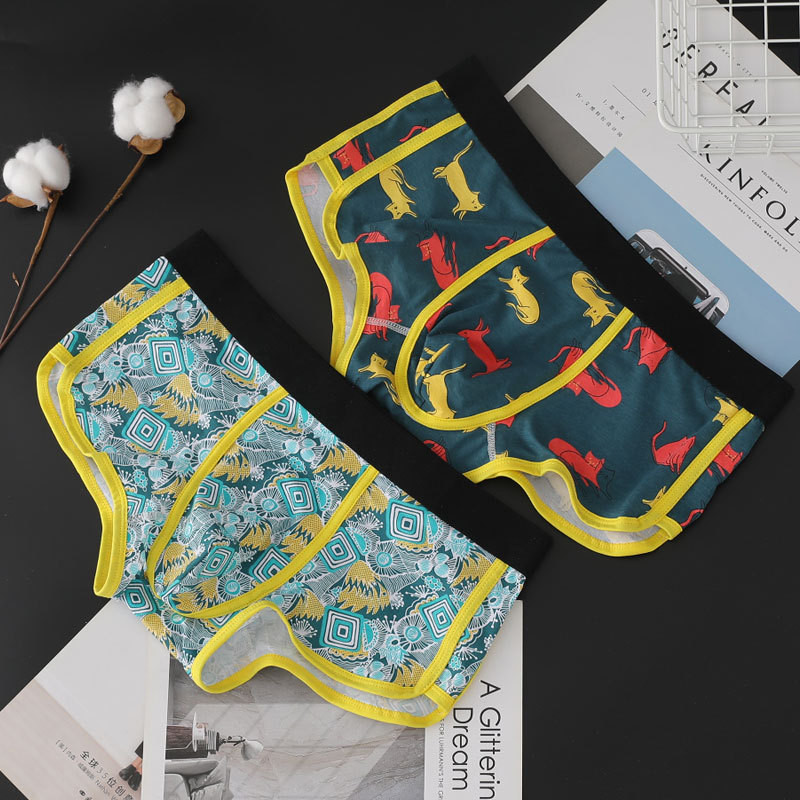 Sügis- ja Talvine uus Cross Border noorte meeste puuvillane bokseri aluspesu hingav puuvillane keskmise vöökohaga kahekihiline mood Aro püksid