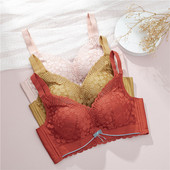 Toamnă Iarnă Fără inel de oțel Lenjerie de corp Piept mic Sutien adunat Confortabil Dantela Mediu Gros Cupă Top Lenjerie moale pentru femei