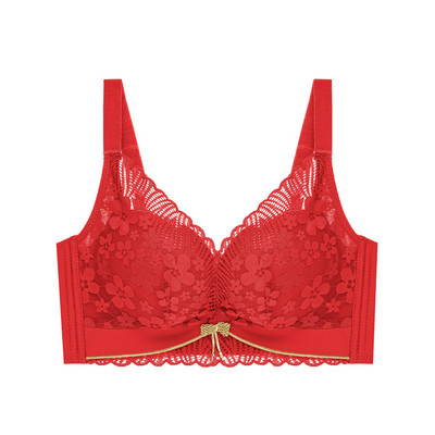 Toamnă Iarnă Fără inel de oțel Lenjerie de corp Piept mic Sutien adunat Confortabil Dantela Mediu Gros Cupă Top Lenjerie moale pentru femei