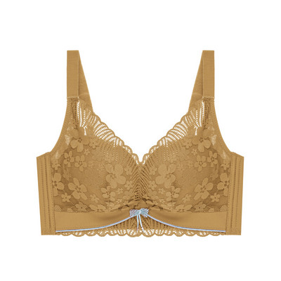 Toamnă Iarnă Fără inel de oțel Lenjerie de corp Piept mic Sutien adunat Confortabil Dantela Mediu Gros Cupă Top Lenjerie moale pentru femei