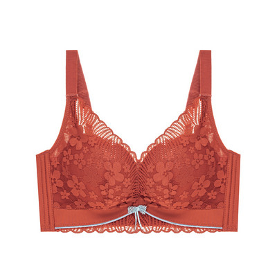 Toamnă Iarnă Fără inel de oțel Lenjerie de corp Piept mic Sutien adunat Confortabil Dantela Mediu Gros Cupă Top Lenjerie moale pentru femei