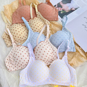 Γυναικείο σουτιέν χωρίς ραφές, σέξι μοτίβο με κουκκίδες Εσώρουχα που αναπνέουν λεπτό, αντιχαλαρωμένο γιαπωνέζικα γλυκά και χαριτωμένα κορίτσια Μαθητές