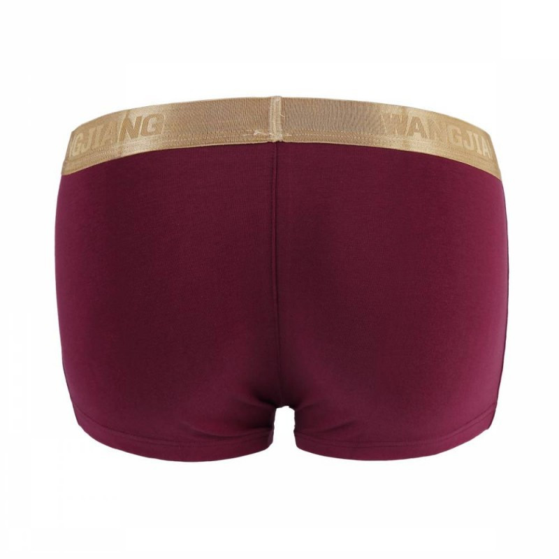 2017. aasta uus stiil WJ brändi aluspesu meeste seksikad bokserid puuvillane nööp mugav puuvillane lamenurkne massiivne aluspesu