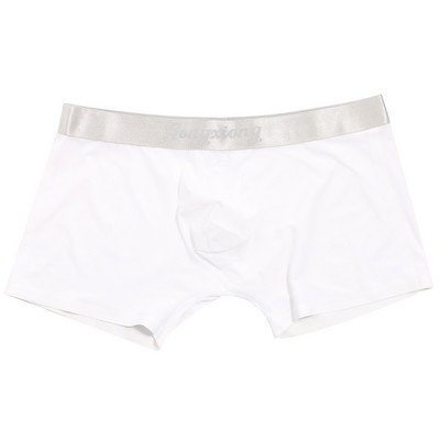 Bărbați Sexy Bărbați Pantaloni din mătase de gheață Lenjerie de corp Transparentă, netedă, respirabilă, Boxer, fără sudură