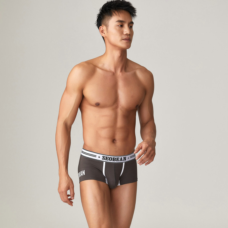 Boxeri, Lenjerie pentru bărbați，cueca masculina трусы мужские мужские трусы