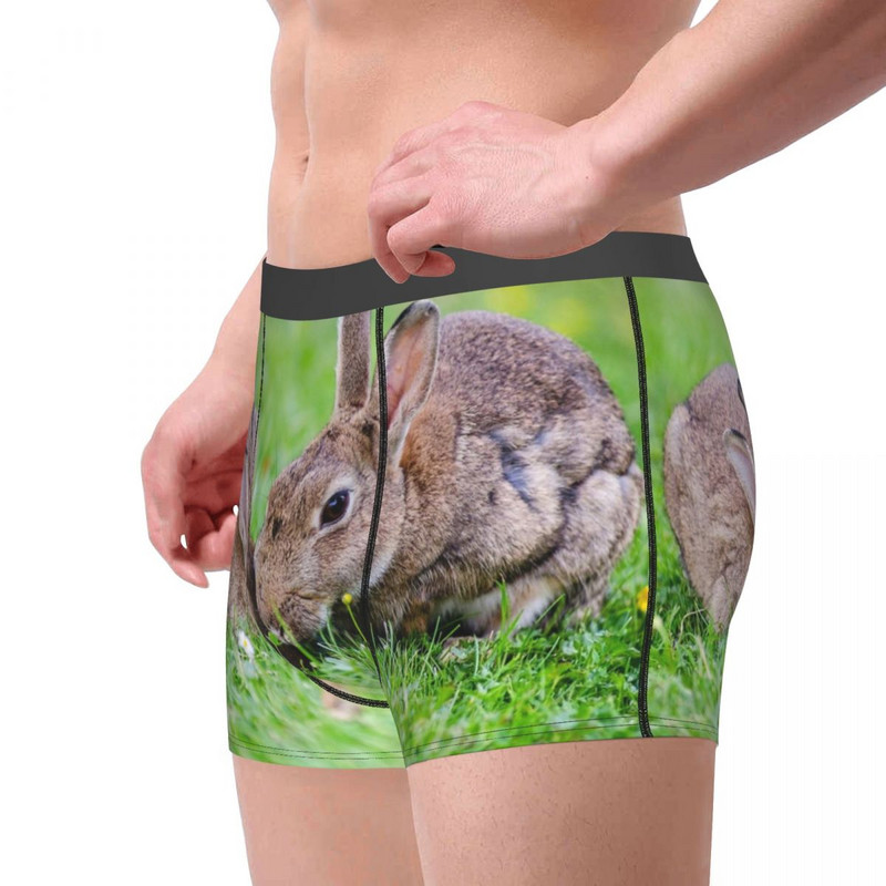 Meeste bokserpüksid, mugavad aluspüksid, kaks jänest murul aluspesul, meeste bokser