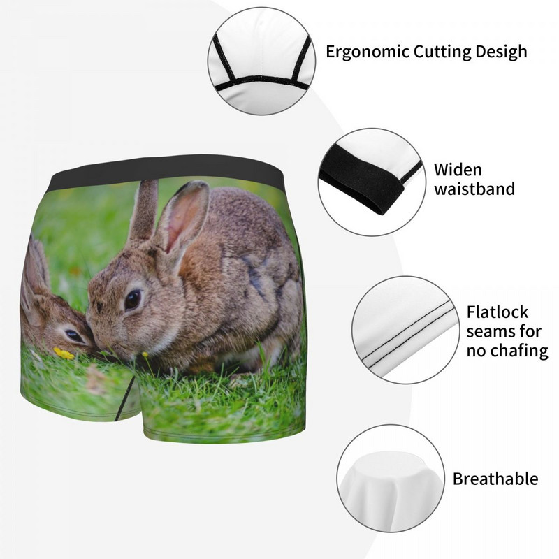 Meeste bokserpüksid, mugavad aluspüksid, kaks jänest murul aluspesul, meeste bokser