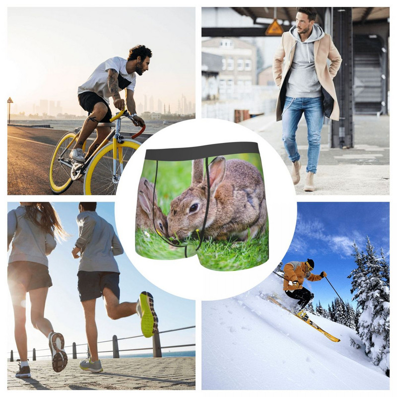 Meeste bokserpüksid, mugavad aluspüksid, kaks jänest murul aluspesul, meeste bokser