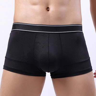 Meeste Ice Silk Bokser Suvine Üliõhukesed püksid Lapiga aluspesu Meeste punn kott Bokserid Lühikesed püksid Võrgust kohvrid läbipaistvad aluspüksid