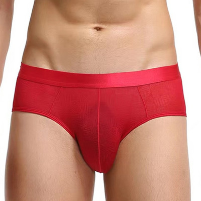 Σούπερ μαλακό άνετο εσώρουχο Ice Silk Sheer Transparent Mesh Ανδρικά σλιπ με στάμπα Σέξι εξωτικά εσώρουχα με χαμηλή μέση