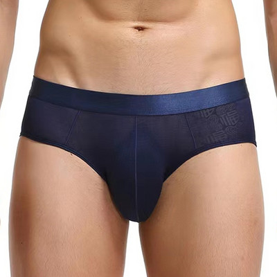 Σούπερ μαλακό άνετο εσώρουχο Ice Silk Sheer Transparent Mesh Ανδρικά σλιπ με στάμπα Σέξι εξωτικά εσώρουχα με χαμηλή μέση