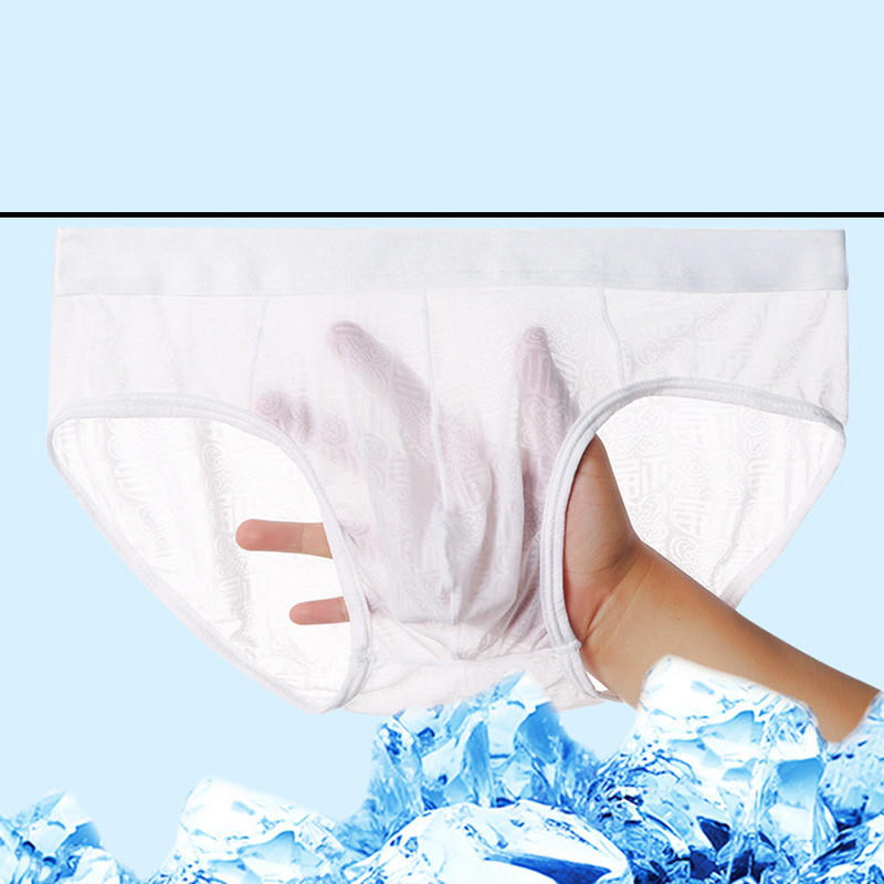 Σούπερ μαλακό άνετο εσώρουχο Ice Silk Sheer Transparent Mesh Ανδρικά σλιπ με στάμπα Σέξι εξωτικά εσώρουχα με χαμηλή μέση