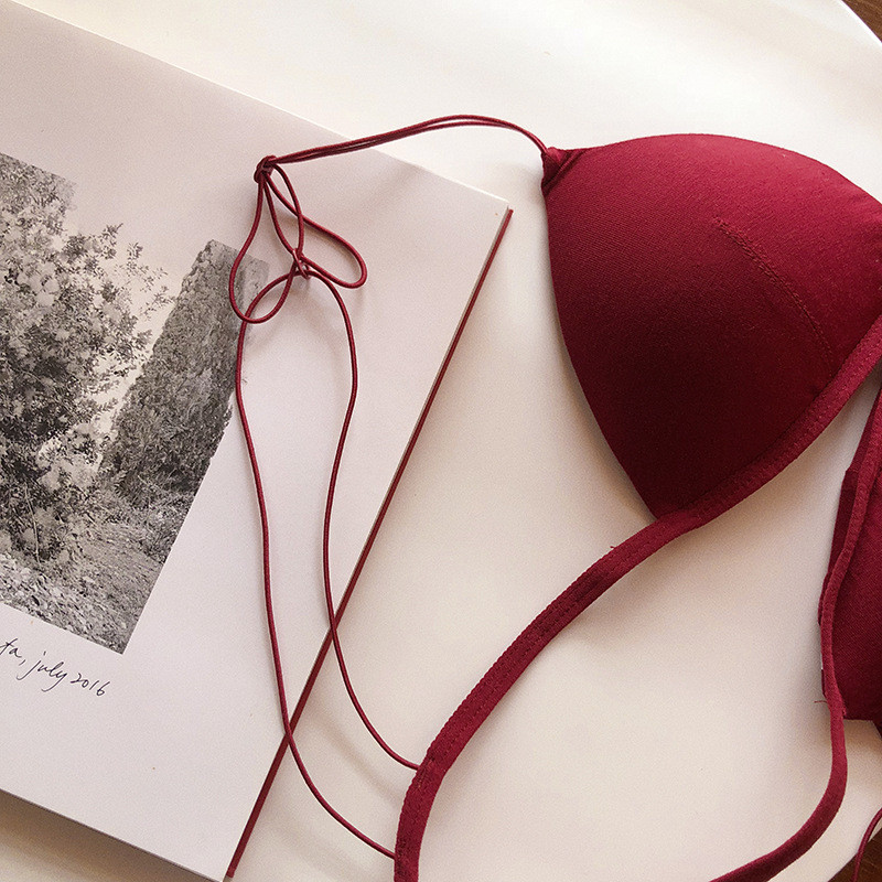 Franceză Europeană Și Americană Lenjerie de corp din spate Set sutien cu cataramă în față Cupă triunghiulară Sutien pentru studentă tânără Doamnă fără inel de oțel Sexy