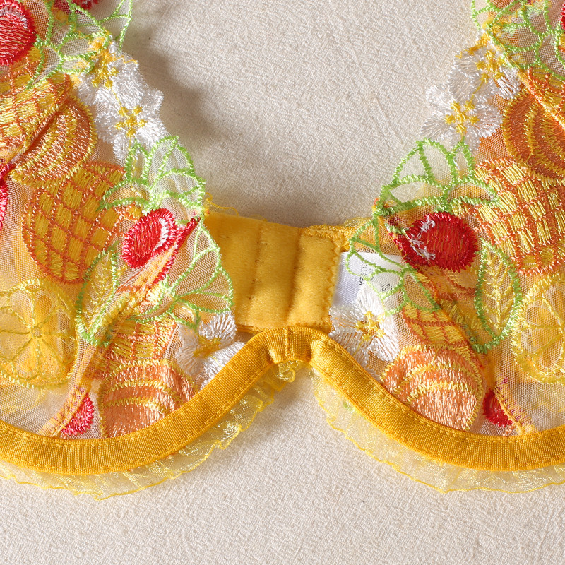 Tikitud bralette pesukomplekt, läbipaistev Push Up rinnahoidja G-String naisele uhke aluspesu Sensuaalsed seksikad pitsilised intiimsed erootilised komplektid