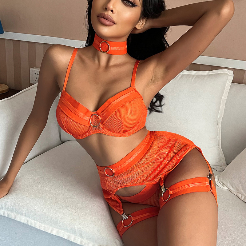 FERLIOVE Set de lenjerie erotică din plasă sexy pentru femei, 4 piese, sutien și jartiere pentru chiloți Set de lenjerie transparentă