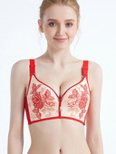 Nou rafinat sutien brodat femei Gorge Push Up subțire cupa plină bust lenjerie de corp culoare deschisă X35