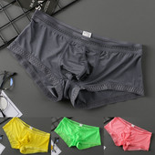 Ανδρικά σέξι εσώρουχα Ice μεταξωτό σλιπ Χαμηλής μέσης Ανδρικά εσώρουχα see through Παντελόνι σώβρακο Tangas Intimate ανδρικό κάτω σορτς