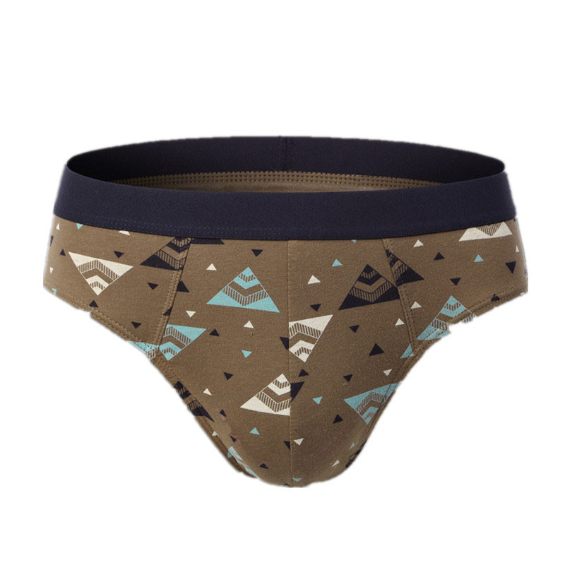 Σλιπ 4 τμχ Ανδρικά εσώρουχα Σέξι εσώρουχα ανδρικά εσώρουχα Βαμβακερά σώβρακα αναπνεύσιμα Cueca Calcinha Παρτίδες χονδρικής Δωρεάν αποστολή