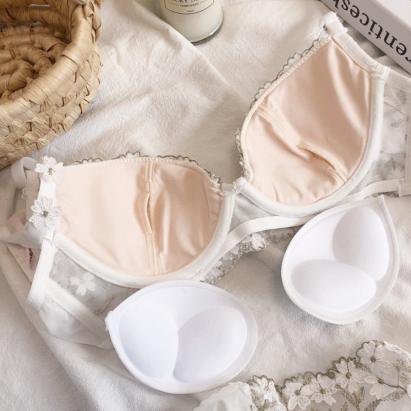 2022 daisy broderie dantelă lenjerie slip costum sexy inel din oțel moale super adunate  lenjerie fată floare femei lenjerie intimă