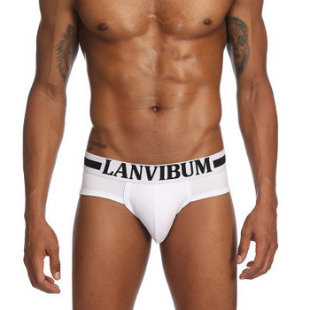 Lanvibum Cool Men Underwear Cotton Qucik-dry Sexy Breathable Mens Slip Cueca Male Panties