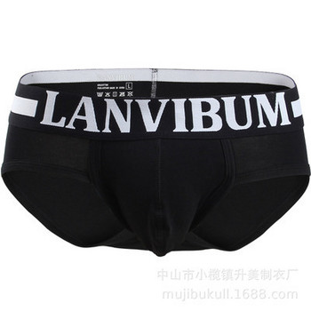 Lanvibum Cool Men Underwear Cotton Qucik-dry Sexy Breathable Mens Slip Cueca Male Panties