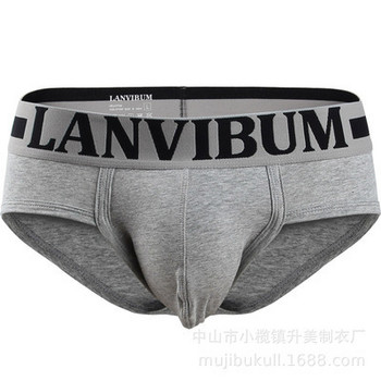 Lanvibum Cool Men Underwear Cotton Qucik-dry Sexy Breathable Mens Slip Cueca Male Panties