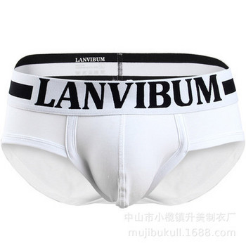 Lanvibum Cool Men Underwear Cotton Qucik-dry Sexy Breathable Mens Slip Cueca Male Panties